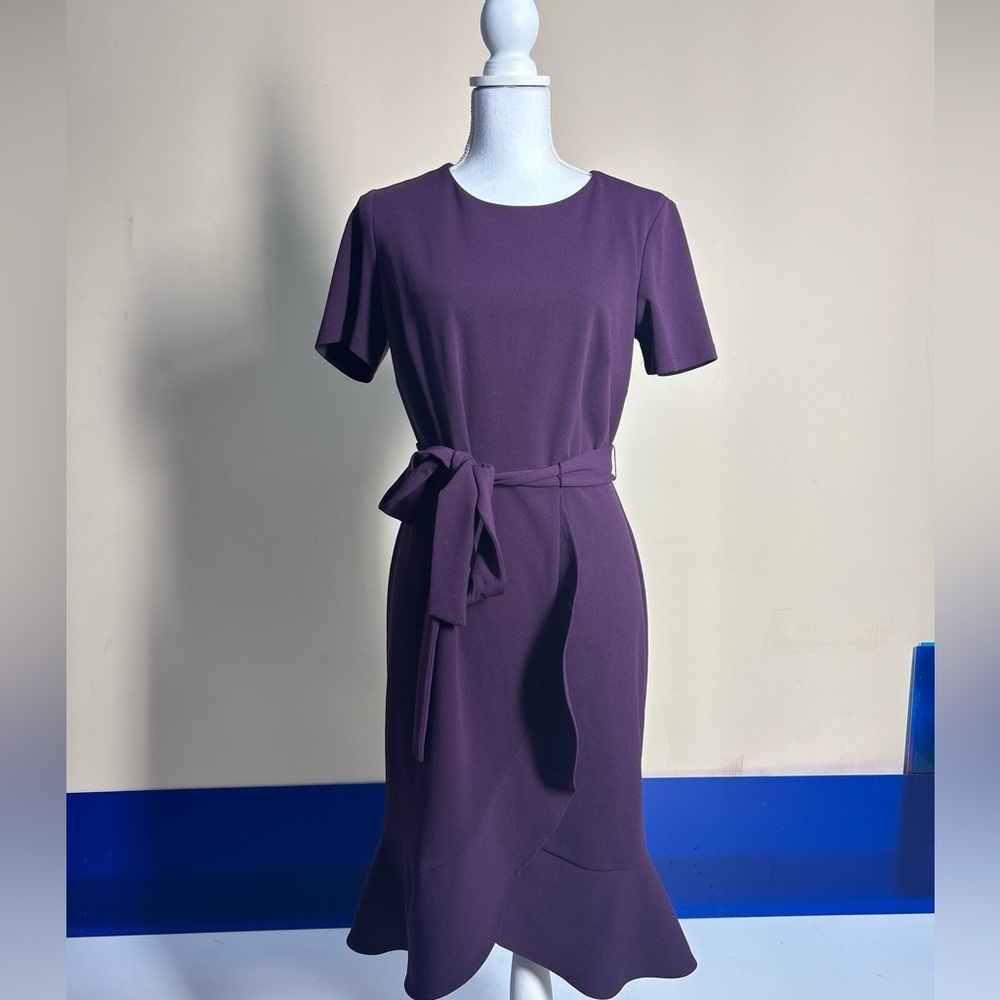 Shelby & Palmer Purple Dress size 10